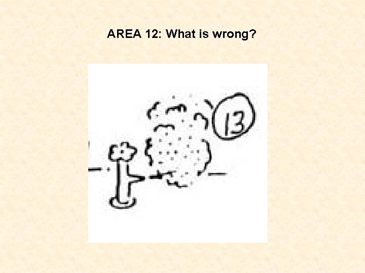 AREA 12: What is wrong? 