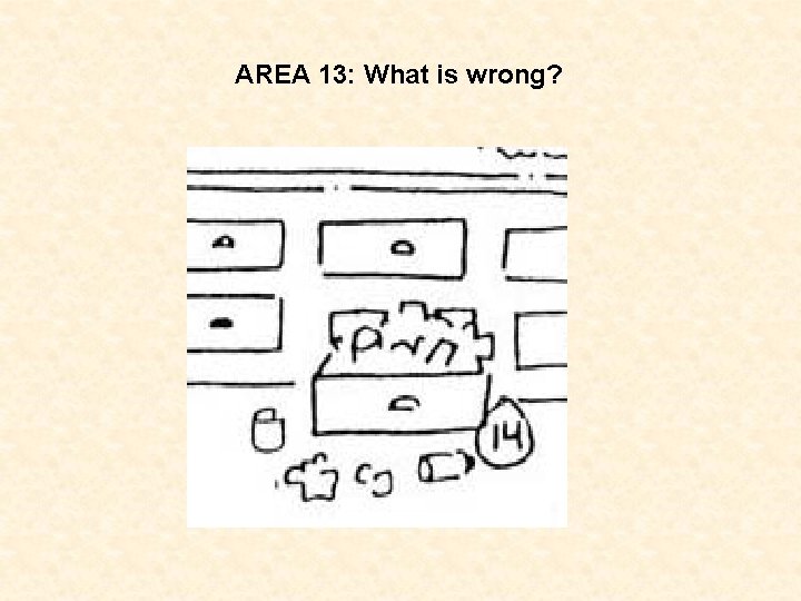 AREA 13: What is wrong? 