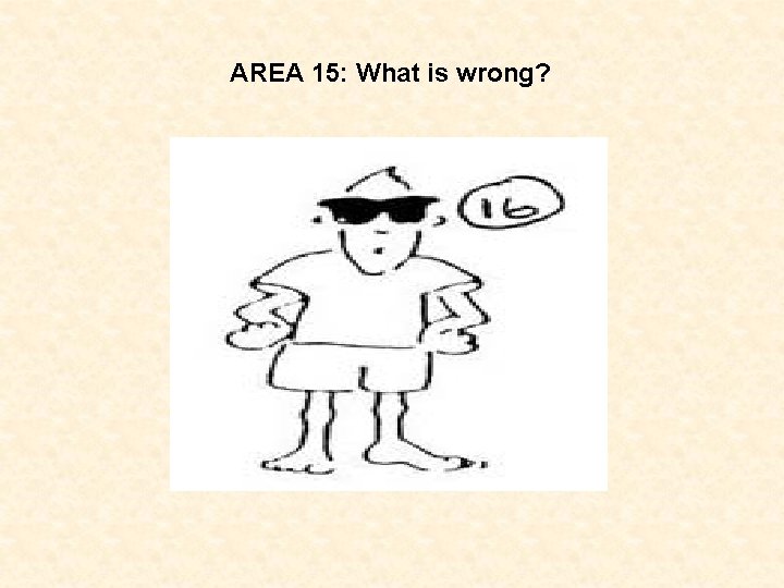 AREA 15: What is wrong? 
