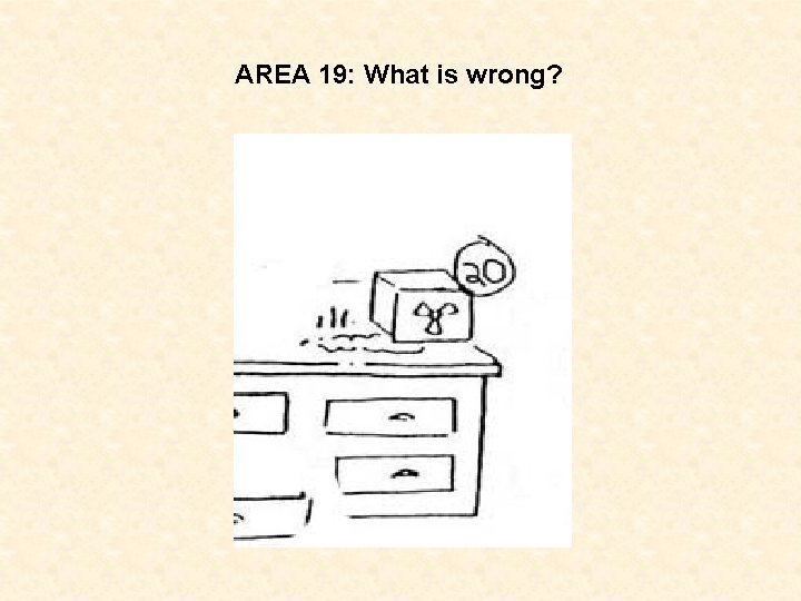 AREA 19: What is wrong? 