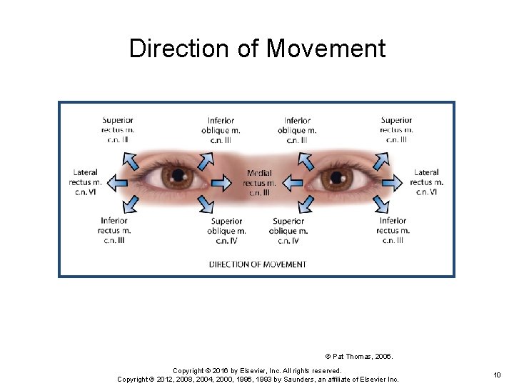 Direction of Movement © Pat Thomas, 2006. Copyright © 2016 by Elsevier, Inc. All