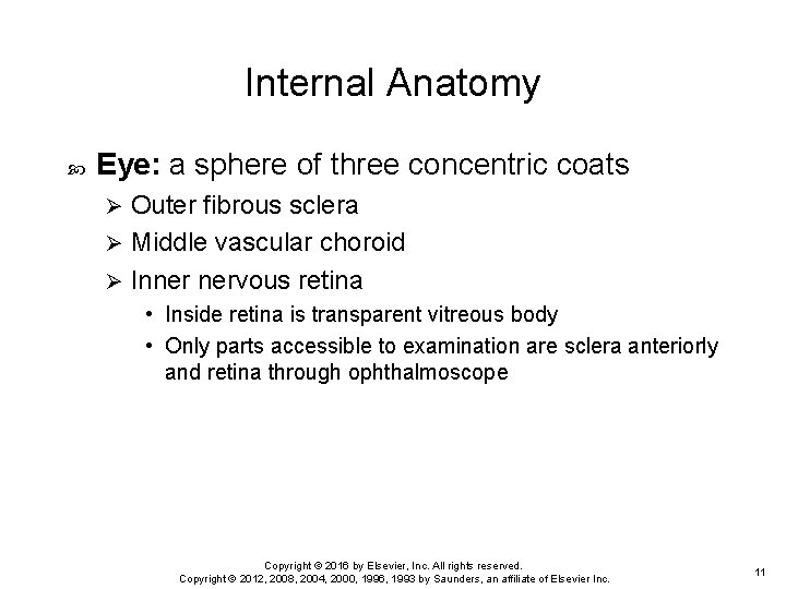 Internal Anatomy Eye: a sphere of three concentric coats Outer fibrous sclera Ø Middle