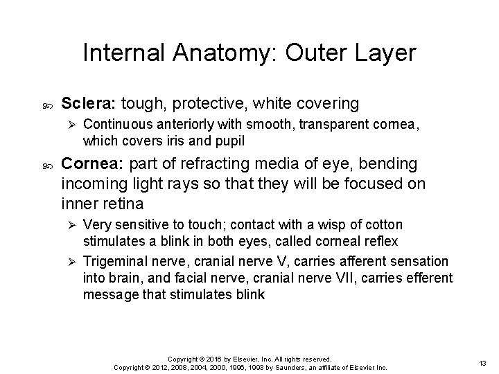 Internal Anatomy: Outer Layer Sclera: tough, protective, white covering Ø Continuous anteriorly with smooth,