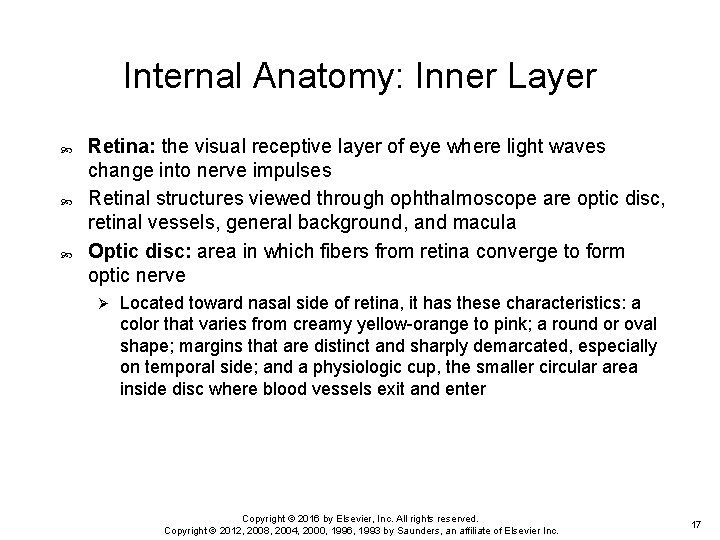 Internal Anatomy: Inner Layer Retina: the visual receptive layer of eye where light waves