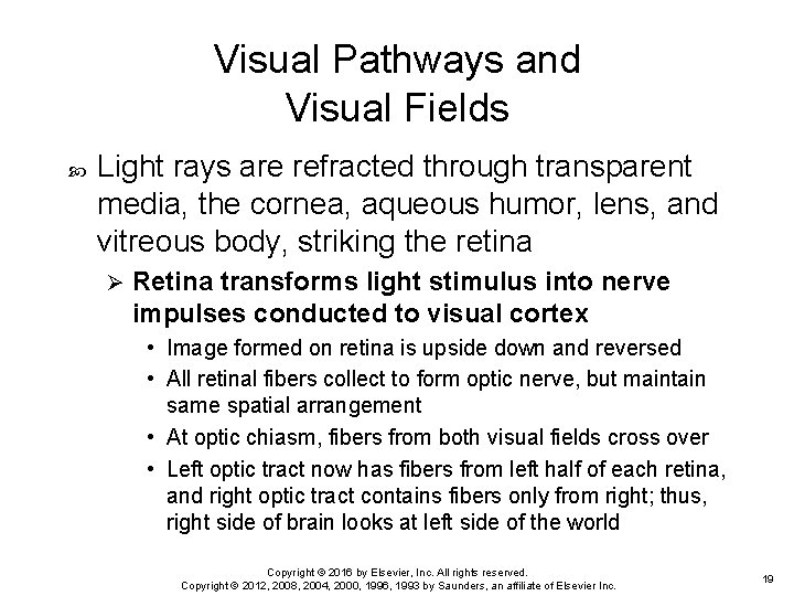 Visual Pathways and Visual Fields Light rays are refracted through transparent media, the cornea,