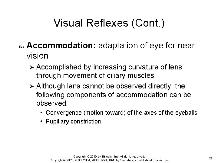 Visual Reflexes (Cont. ) Accommodation: adaptation of eye for near vision Accomplished by increasing