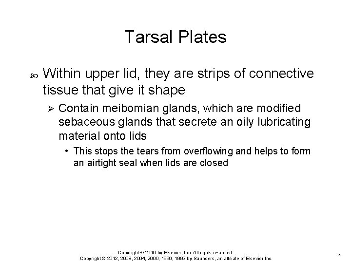 Tarsal Plates Within upper lid, they are strips of connective tissue that give it