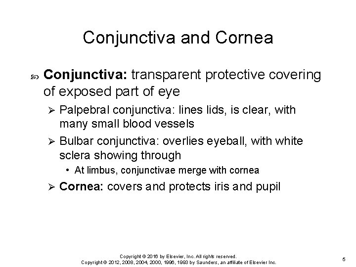 Conjunctiva and Cornea Conjunctiva: transparent protective covering of exposed part of eye Palpebral conjunctiva:
