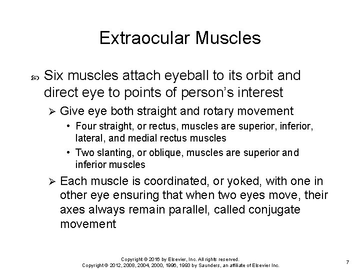 Extraocular Muscles Six muscles attach eyeball to its orbit and direct eye to points