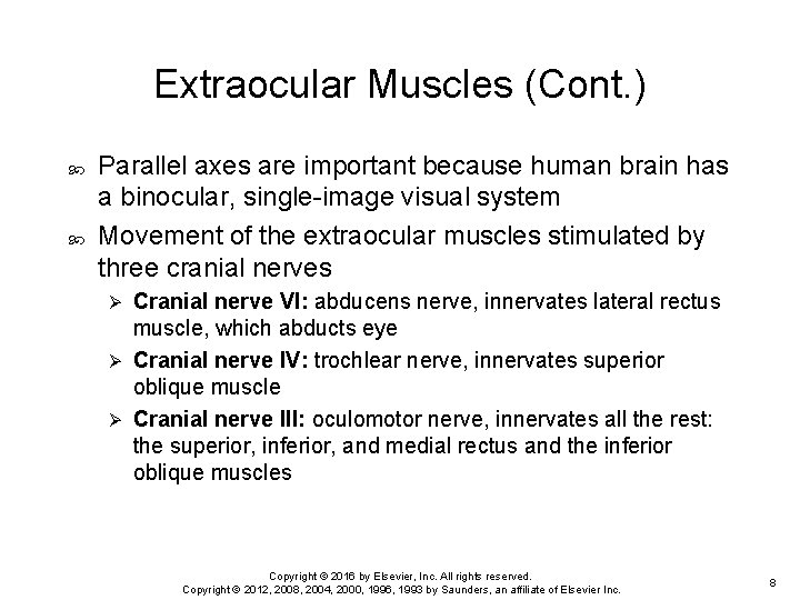 Extraocular Muscles (Cont. ) Parallel axes are important because human brain has a binocular,