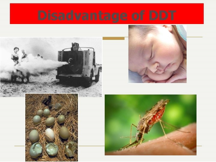 Disadvantage of DDT 