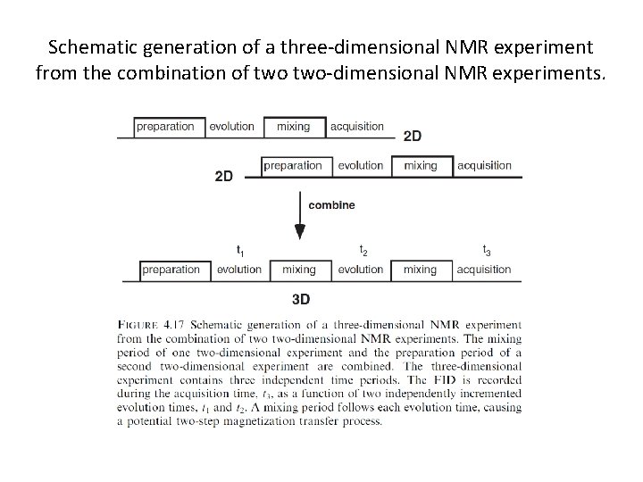 Schematic generation of a three-dimensional NMR experiment from the combination of two-dimensional NMR experiments.