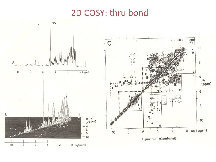 2 D COSY: thru bond 