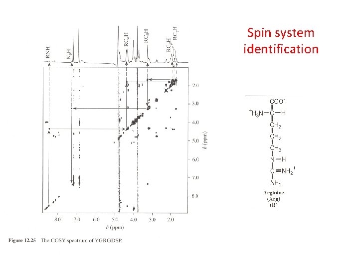 Spin system identification 