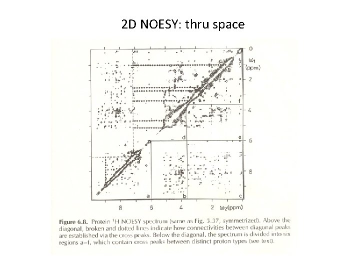2 D NOESY: thru space 
