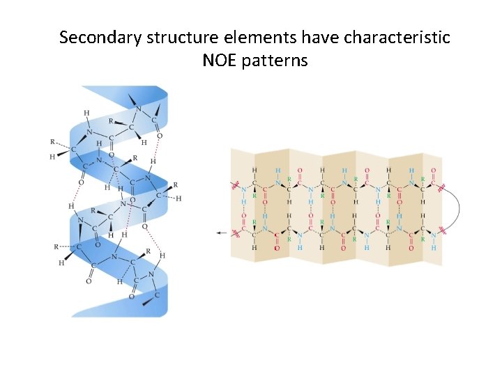Secondary structure elements have characteristic NOE patterns 