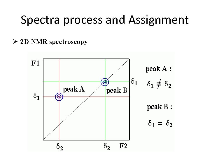 Spectra process and Assignment Ø 2 D NMR spectroscopy 