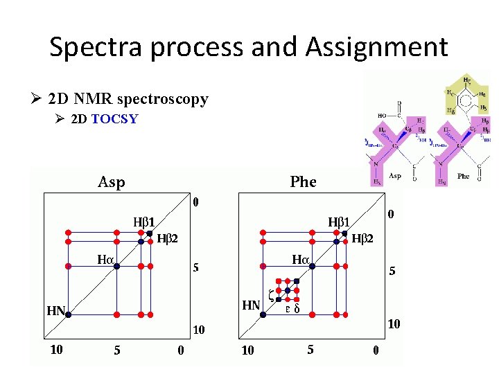 Spectra process and Assignment Ø 2 D NMR spectroscopy Ø 2 D TOCSY 