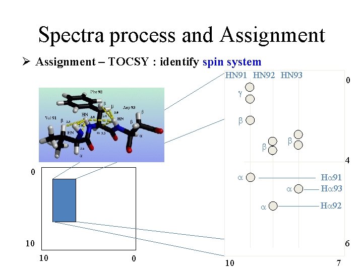Spectra process and Assignment Ø Assignment – TOCSY : identify spin system HN 91