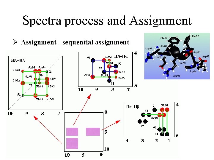 Spectra process and Assignment Ø Assignment - sequential assignment 