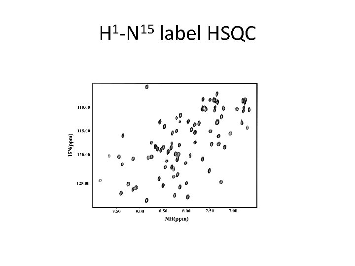 H 1 -N 15 label HSQC 