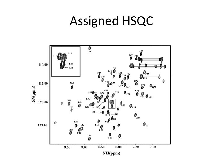 Assigned HSQC 