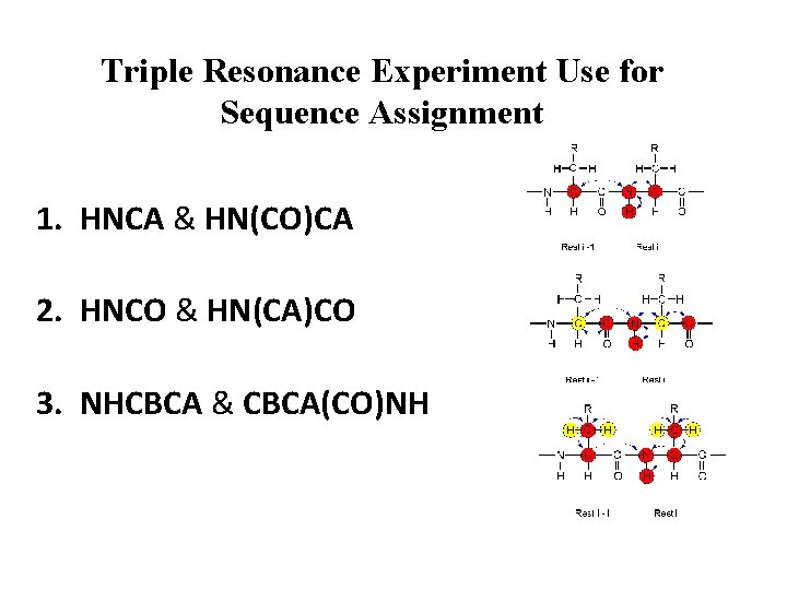 Triple Resonance Experiment Use for Sequence Assignment 1. HNCA & HN(CO)CA 2. HNCO &