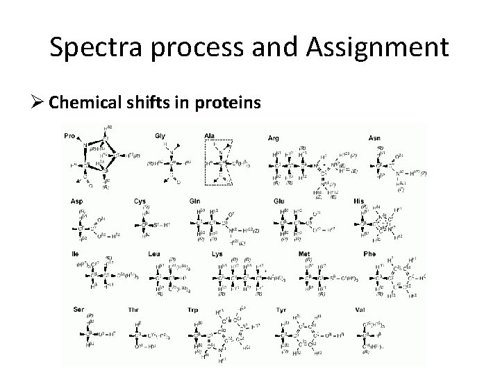 Spectra process and Assignment Ø Chemical shifts in proteins 