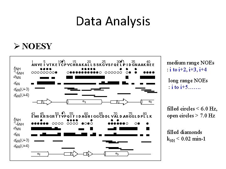 Data Analysis Ø NOESY medium range NOEs : i to i+2, i+3, i+4 long