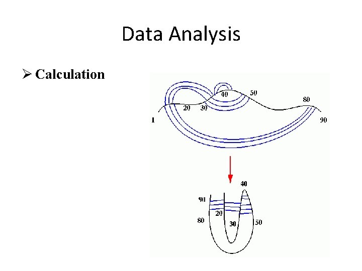 Data Analysis Ø Calculation 