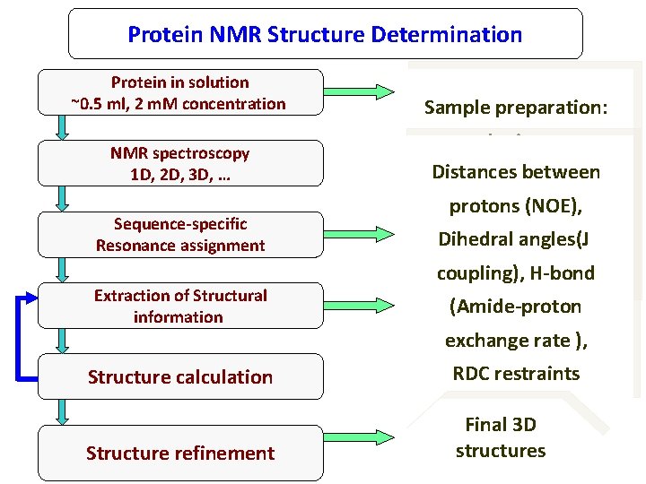 Protein NMR Structure Determination Protein in solution ~0. 5 ml, 2 m. M concentration