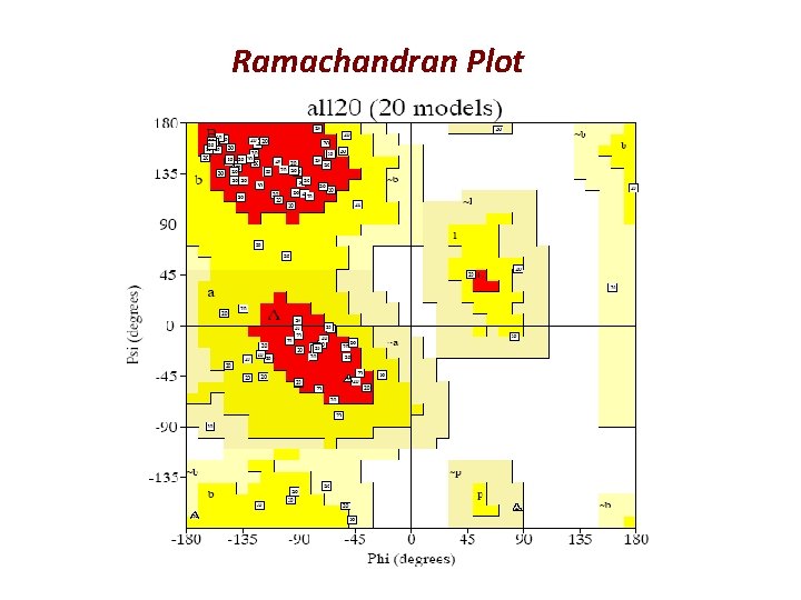 Ramachandran Plot 