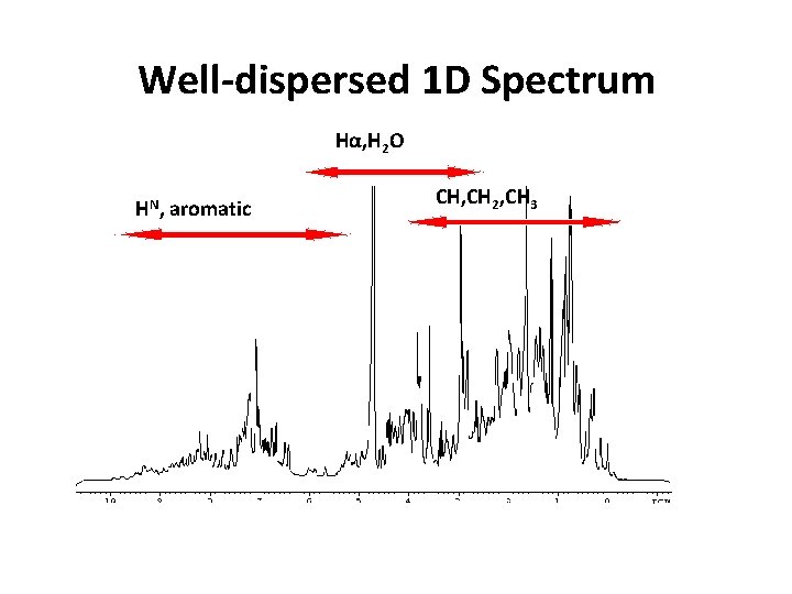 Well-dispersed 1 D Spectrum Hα, H 2 O HN, aromatic CH, CH 2, CH