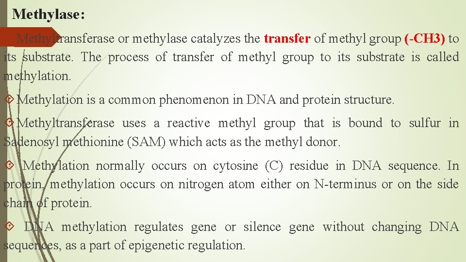 Methylase: Methyltransferase or methylase catalyzes the transfer of methyl group (-CH 3) to its