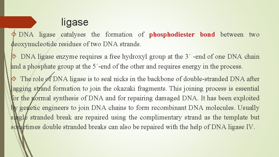 ligase DNA ligase catalyses the formation of phosphodiester bond between two deoxynucleotide residues of