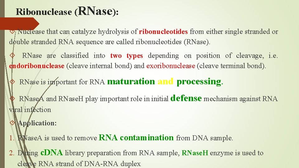 Ribonuclease (RNase): Nuclease that can catalyze hydrolysis of ribonucleotides from either single stranded or