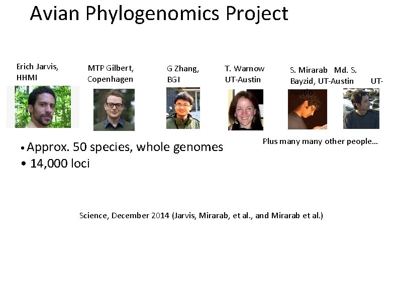 Avian Phylogenomics Project Erich Jarvis, HHMI • Approx. MTP Gilbert, Copenhagen G Zhang, BGI