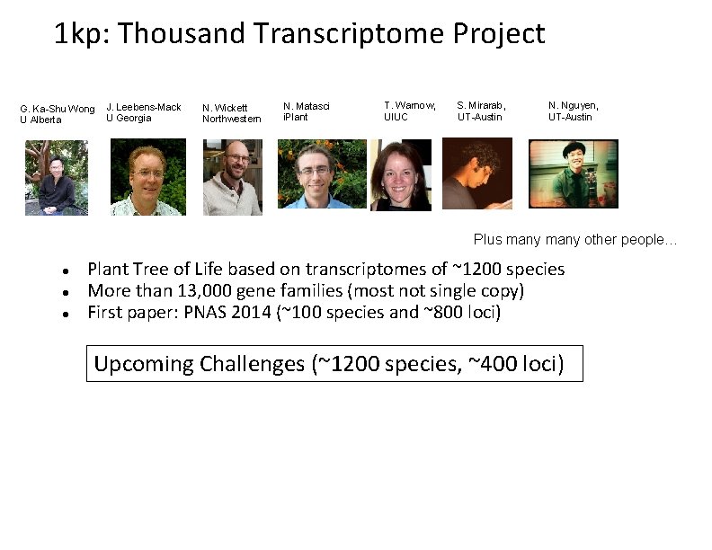 1 kp: Thousand Transcriptome Project G. Ka-Shu Wong U Alberta J. Leebens-Mack U Georgia