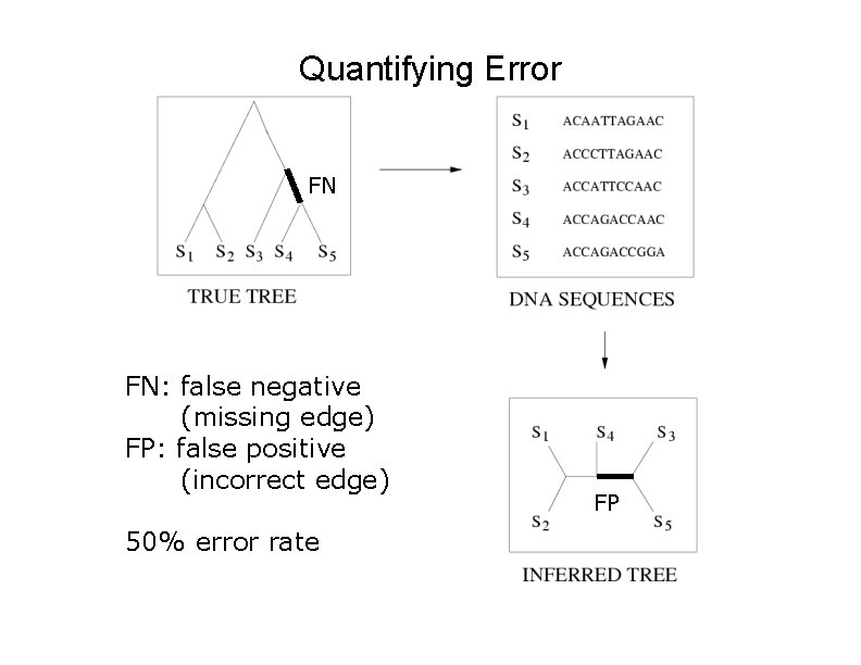 Quantifying Error FN FN: false negative (missing edge) FP: false positive (incorrect edge) 50%