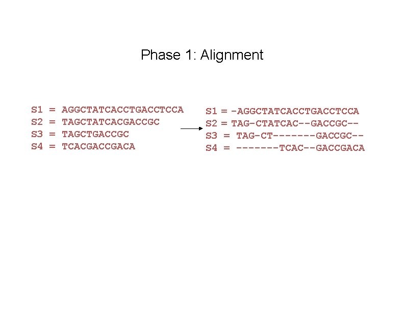Phase 1: Alignment S 1 S 2 S 3 S 4 = = AGGCTATCACCTGACCTCCA