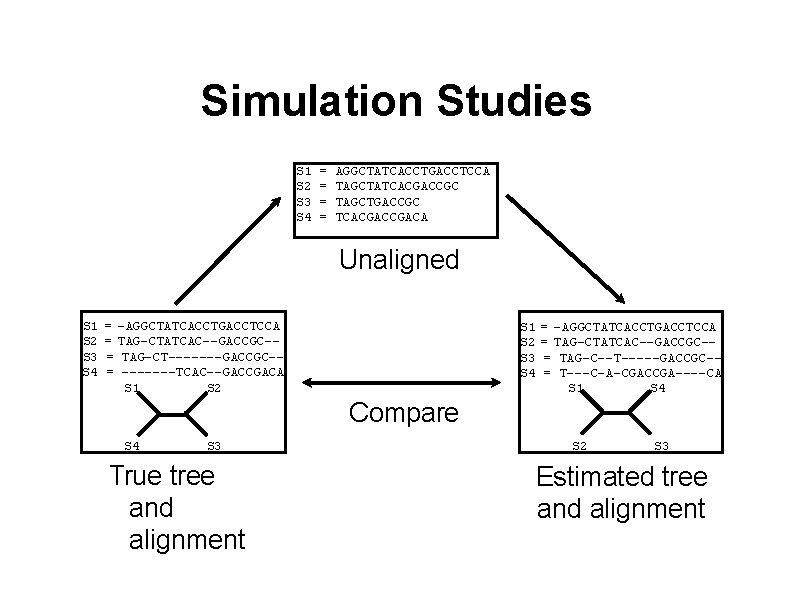 Simulation Studies S 1 S 2 S 3 S 4 = = AGGCTATCACCTGACCTCCA TAGCTATCACGACCGC