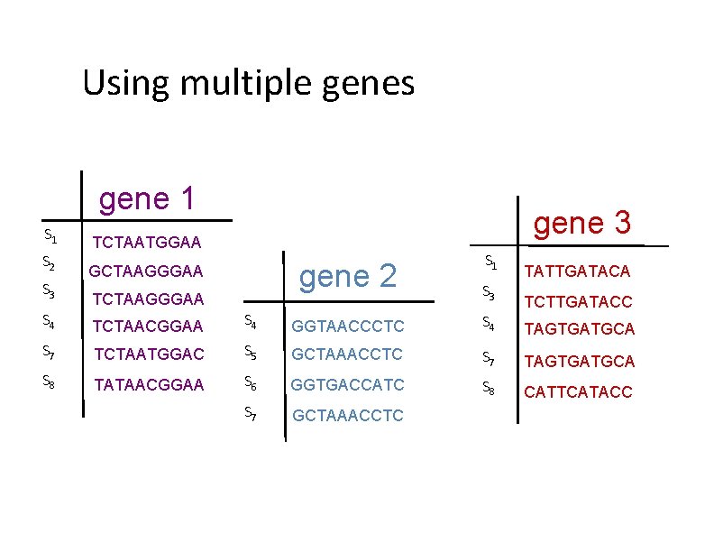 Using multiple genes gene 1 S 2 S 3 gene 3 TCTAATGGAA gene 2