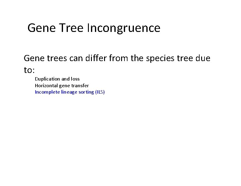 Gene Tree Incongruence Gene trees can differ from the species tree due to: Duplication