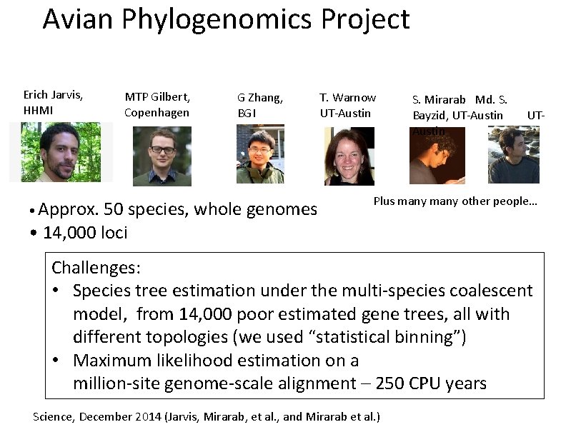 Avian Phylogenomics Project Erich Jarvis, HHMI • Approx. MTP Gilbert, Copenhagen G Zhang, BGI