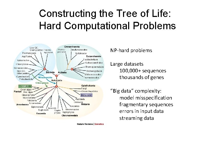 Constructing the Tree of Life: Hard Computational Problems NP‐hard problems Large datasets 100, 000+