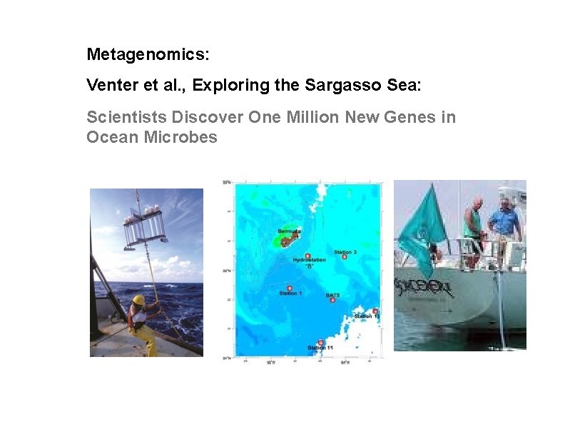 Metagenomics: Venter et al. , Exploring the Sargasso Sea: Scientists Discover One Million New