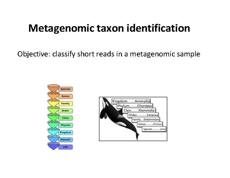 Metagenomic taxon identification Objective: classify short reads in a metagenomic sample 