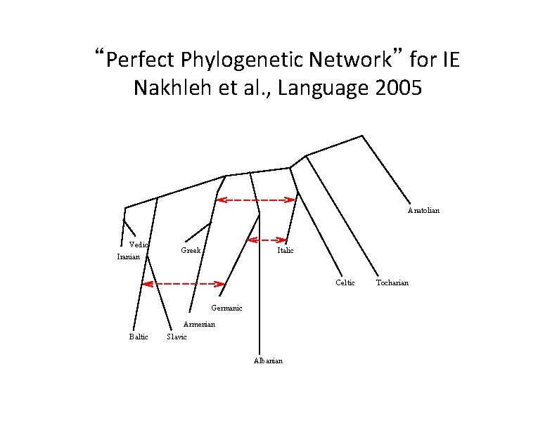 “Perfect Phylogenetic Network” for IE Nakhleh et al. , Language 2005 Anatolian Vedic Iranian