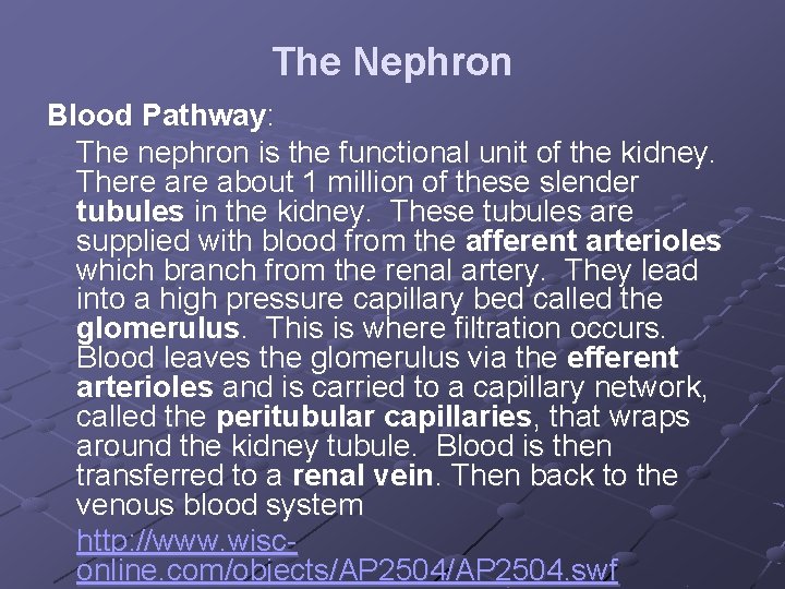 The Nephron Blood Pathway: The nephron is the functional unit of the kidney. There