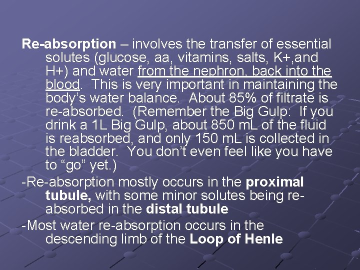 Re-absorption – involves the transfer of essential solutes (glucose, aa, vitamins, salts, K+, and